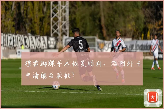 穆雷脚踝手术恢复顺利，温网外卡申请能否获批？
